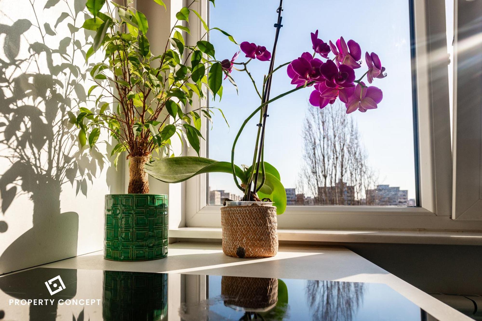 Blissful Retreat Apartment ブカレスト エクステリア 写真